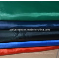 Polyester Nylon Fabric for Garment/Tent/Clothes/Sports Wear